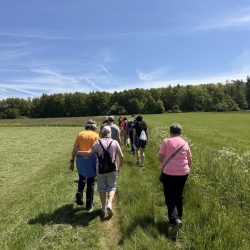 image11